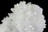 Calcite Crystal Cluster with Chalcopyrite - Mexico #72009-1